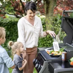 Barbecue Gaz Rogue 365 R 2 Brûleurs - NAPOLEON -Broil Kings Boutiqe barbecue gaz rogue 365 serie r 2 bruleurs 2